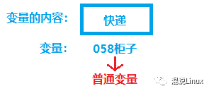 C语言