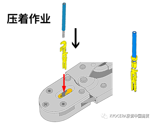 0ade5490-71d6-11ed-8abf-dac502259ad0.png