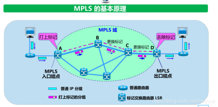 计算机网络