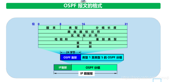 计算机网络