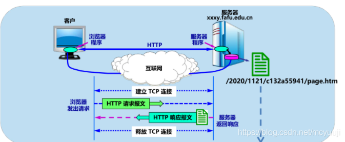 计算机网络