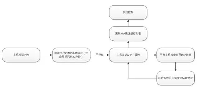 IP协议