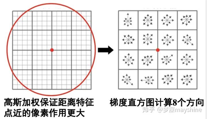 7b8092ca-b1a6-11ed-bfe3-dac502259ad0.jpg