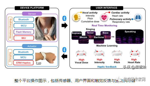 可穿戴