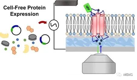 ca566df0-ac21-11ed-bfe3-dac502259ad0.jpg