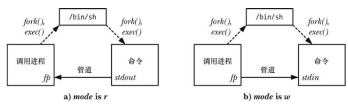 命令