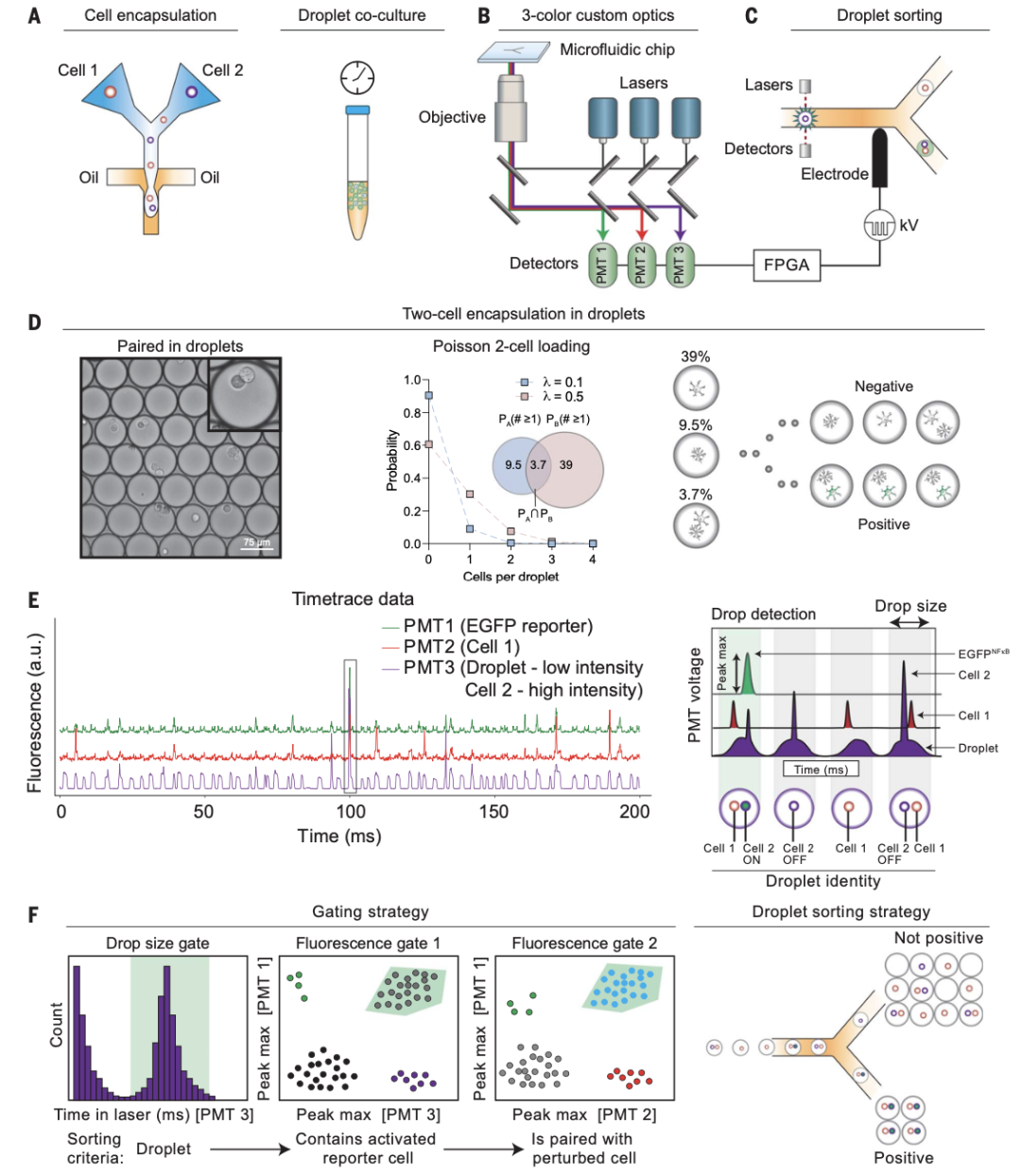 2572e4d4-c383-11ed-bfe3-dac502259ad0.png