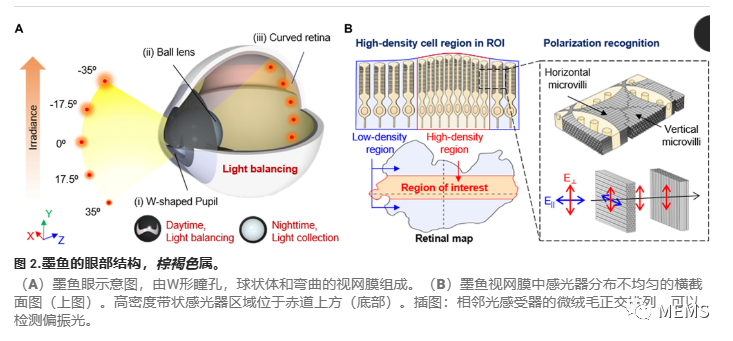 0cbd6ad4-b246-11ed-bfe3-dac502259ad0.png