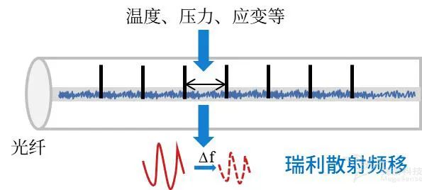 光纤