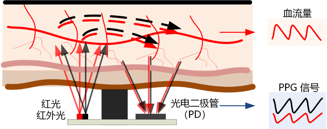 算法