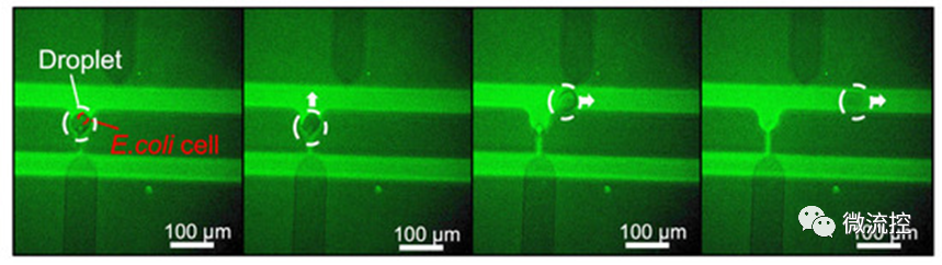 微流控
