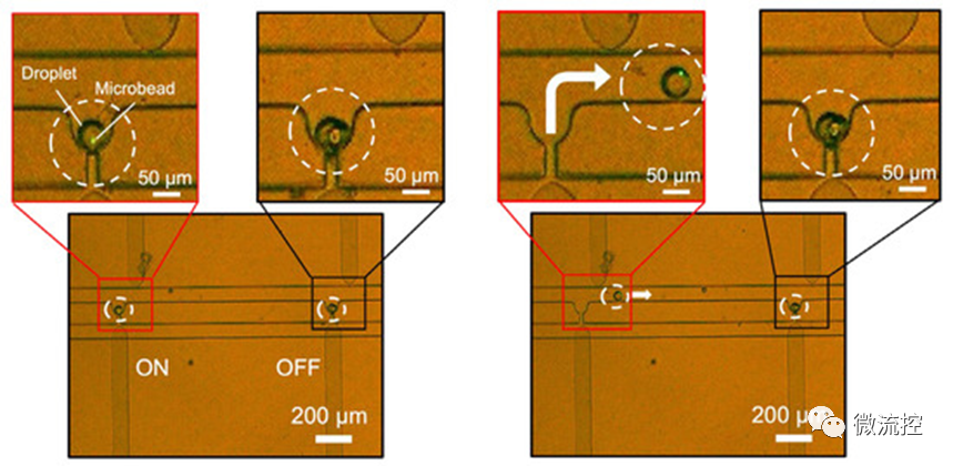 微流控