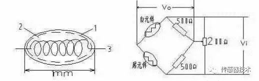 电信号