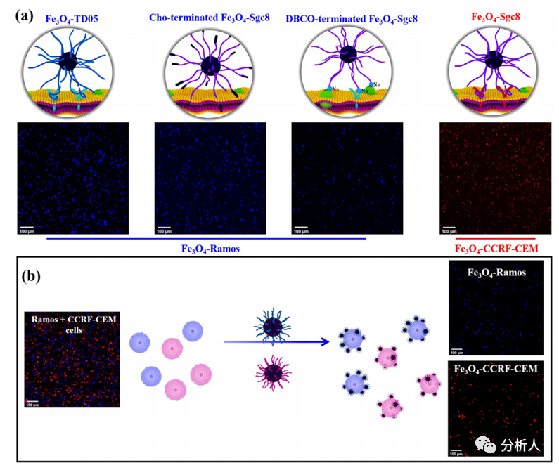 1aff5a5a-cadb-11ed-bfe3-dac502259ad0.png