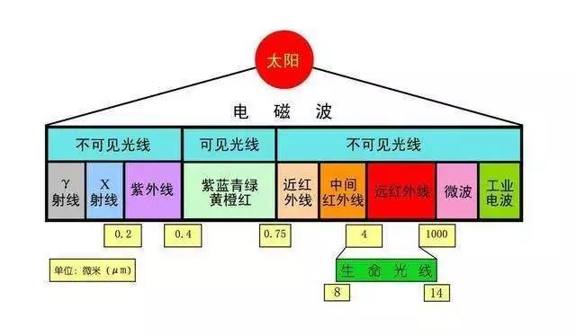 振荡电路