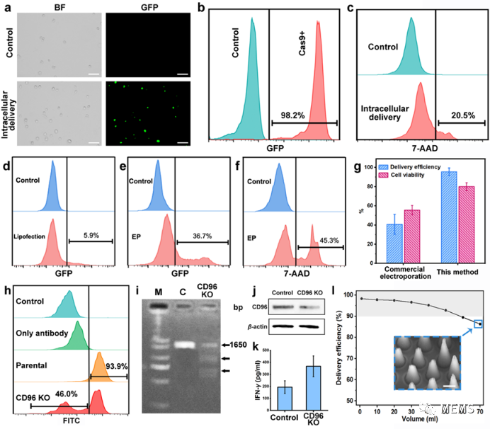 64ada06c-cabd-11ed-bfe3-dac502259ad0.png