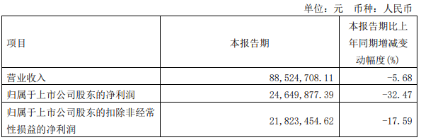 人形机器人