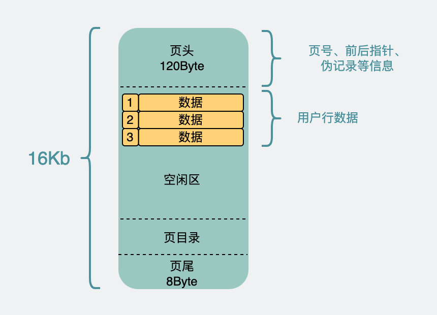 编码器