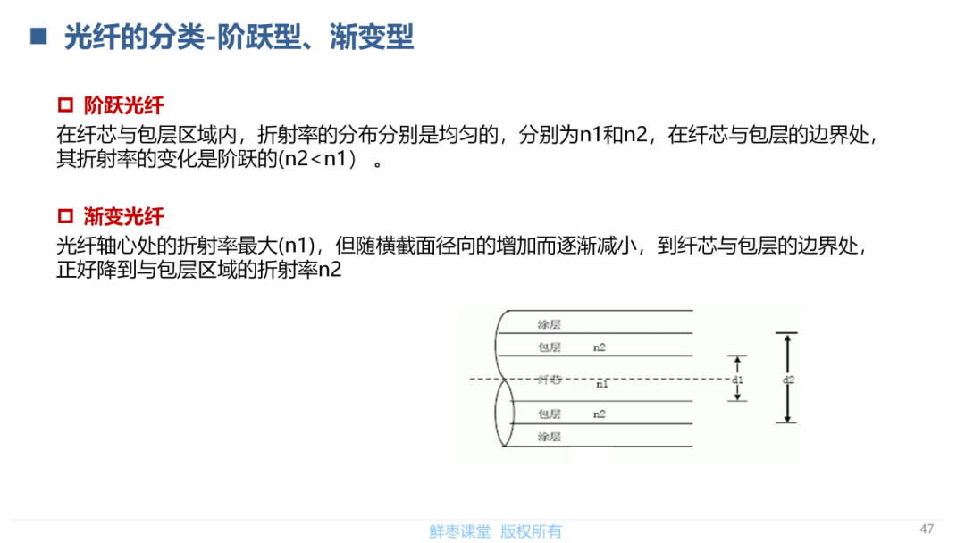 传输网