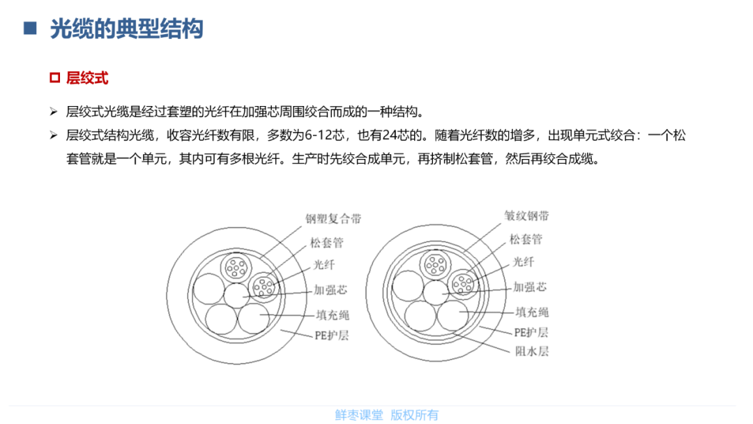 传输网