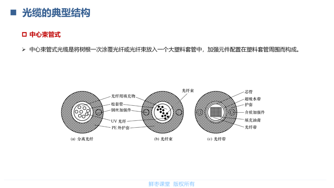 传输网