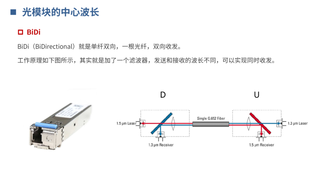 传输网