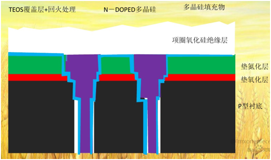 DDR