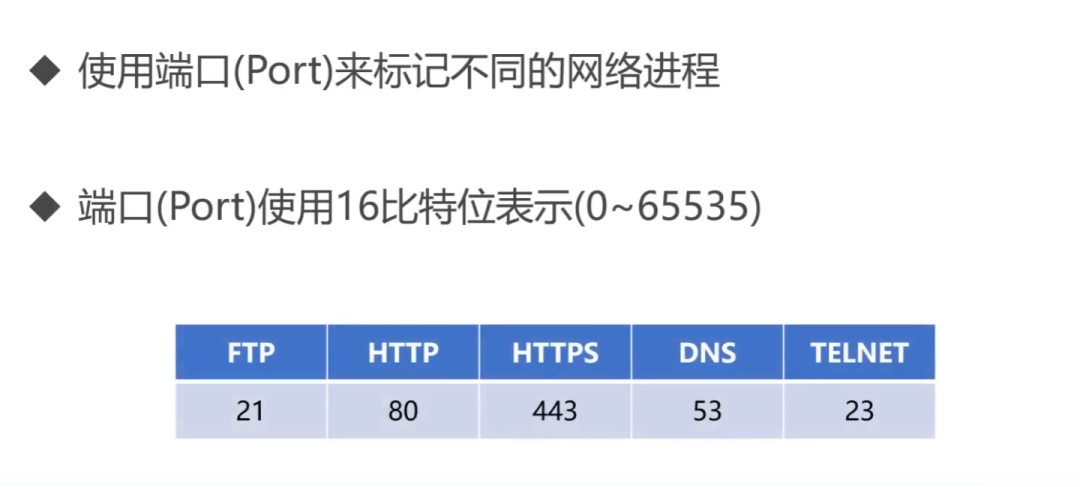 计算机网络