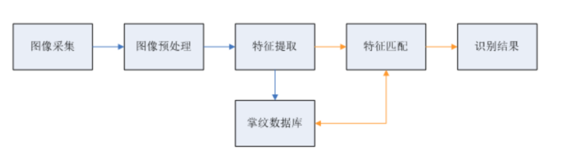 掌纹识别