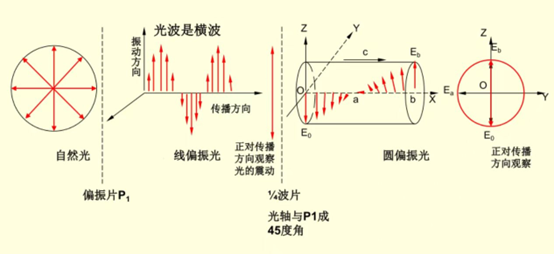 c450daba-042f-11ee-90ce-dac502259ad0.png