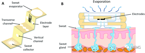 1edf012c-0530-11ee-8a94-dac502259ad0.png