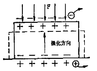 电路板