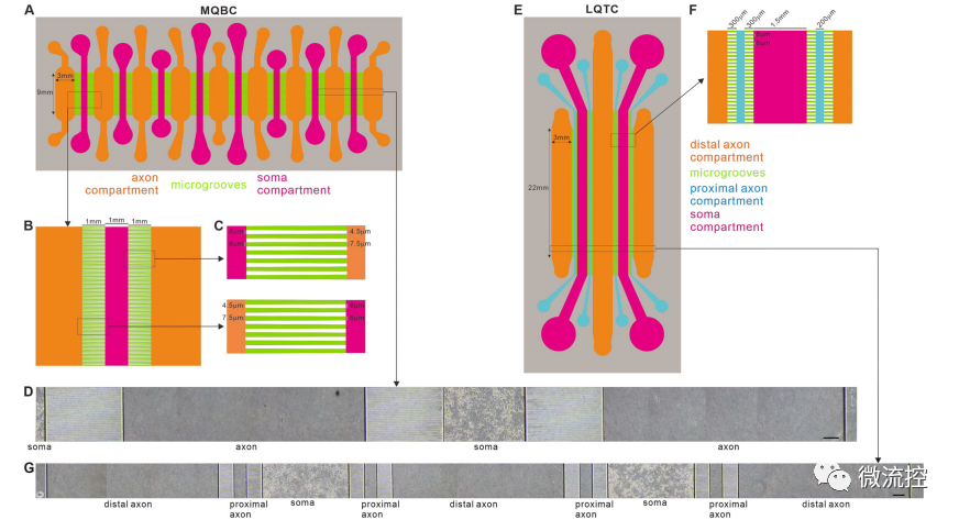 3f49a5bc-ec25-11ed-90ce-dac502259ad0.png