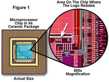 3380f2cc-6fde-11ec-86cf-dac502259ad0.jpg