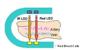 fd40c01c-bb54-11ec-82f6-dac502259ad0.jpg