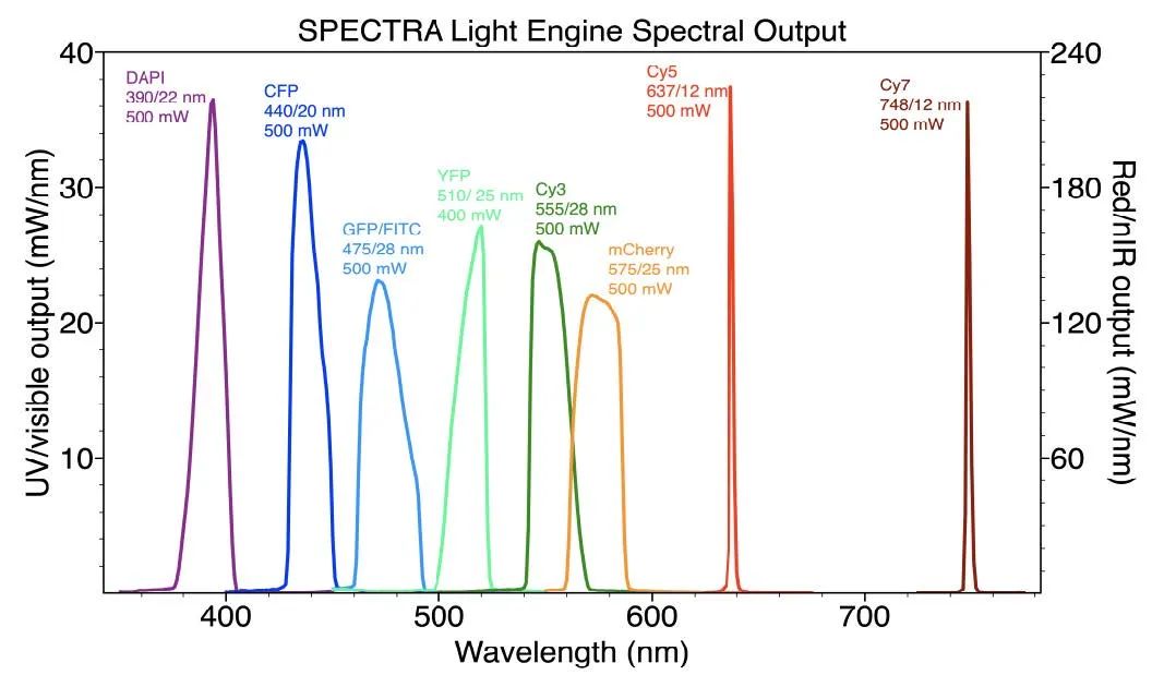 fe699ca4-d146-11ec-8521-dac502259ad0.jpg