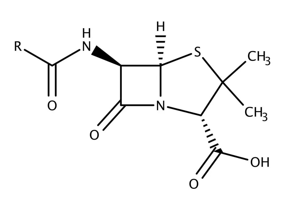 abd89426-58f7-11ec-a27f-dac502259ad0.jpg