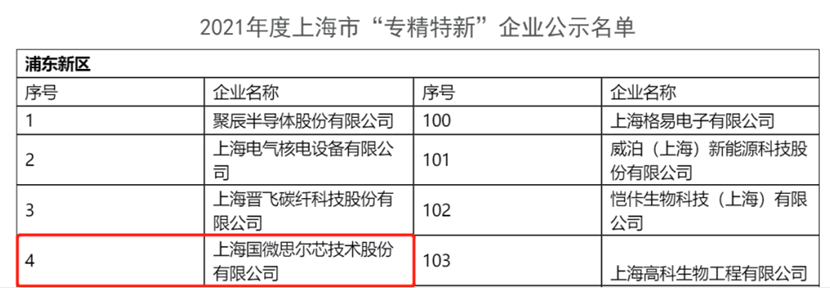 国微思尔芯