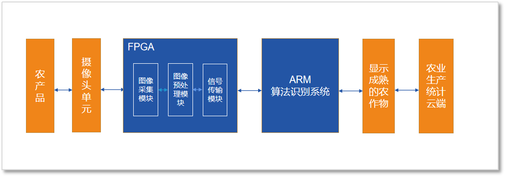 FPGA