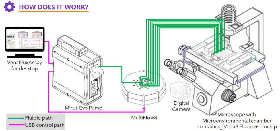 3eb72f0c-5a44-11ed-b116-dac502259ad0.png