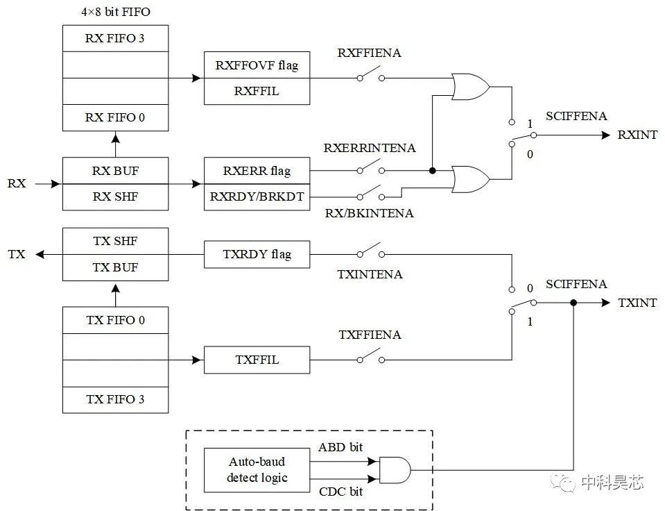 72ff3510-5ecd-11ed-b116-dac502259ad0.jpg