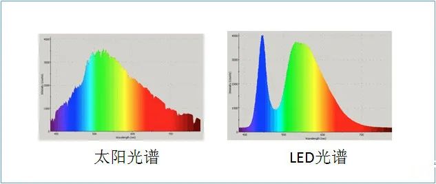 光源