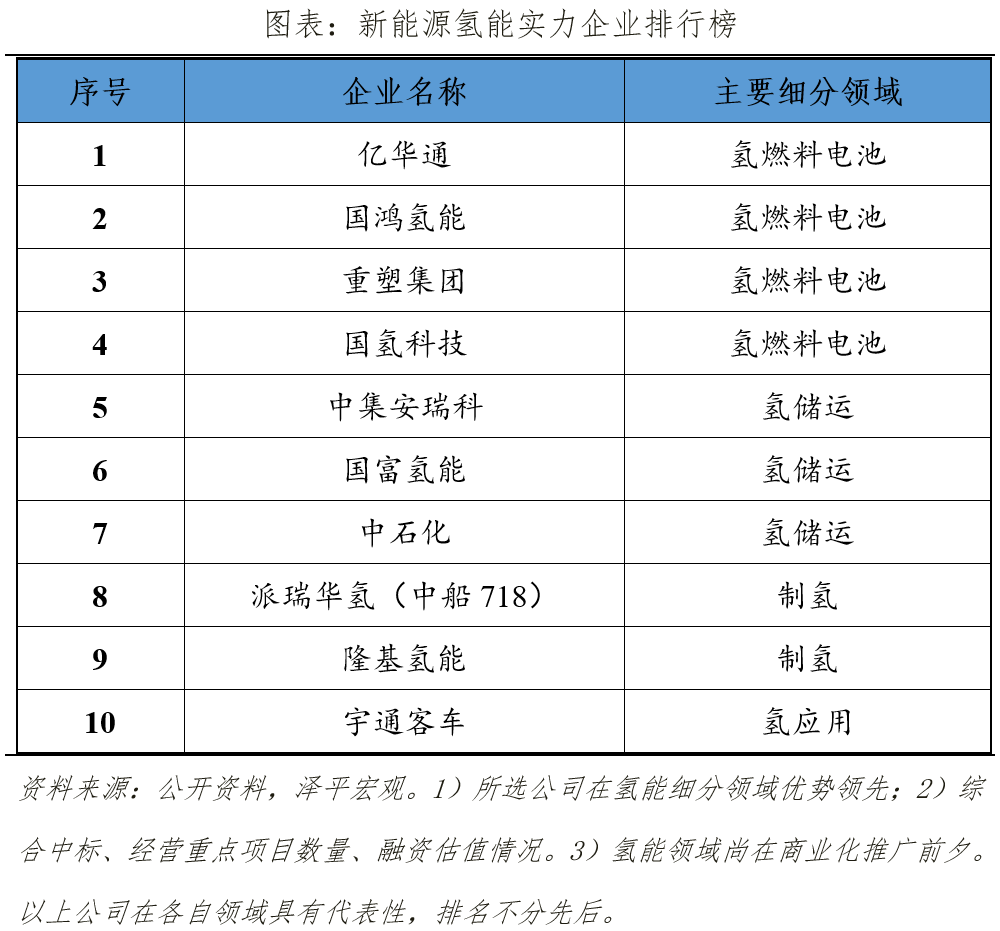 中聚享游国新能源企业排名2023：换道超车(图7)