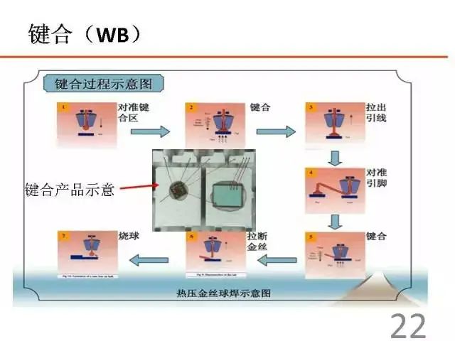 78eecade-11ac-11ee-962d-dac502259ad0.jpg