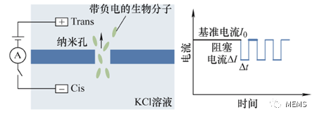 石墨烯