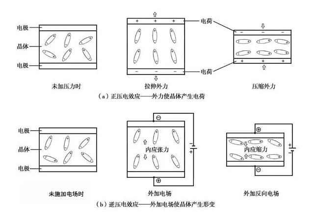 振荡器