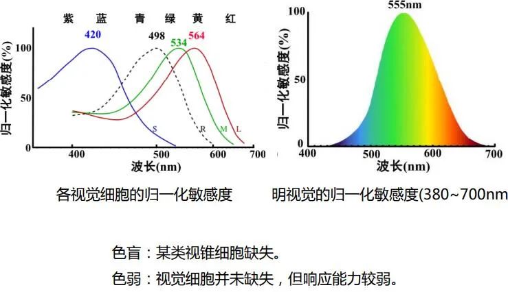 投影仪