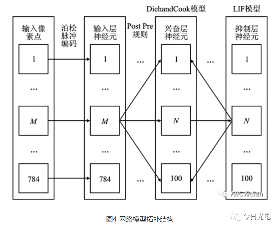 神经网络