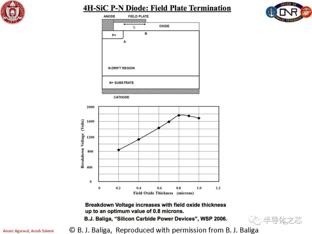 24b6efca-8073-11ed-8abf-dac502259ad0.jpg