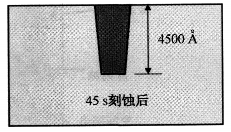 电子显微镜